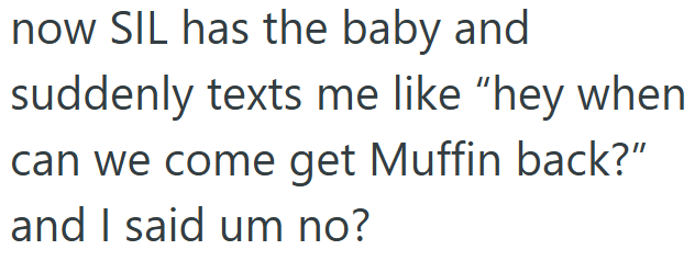 now SIL has the baby and suddenly texts me like "hey when can we come get Muffin back?" and I said um no?