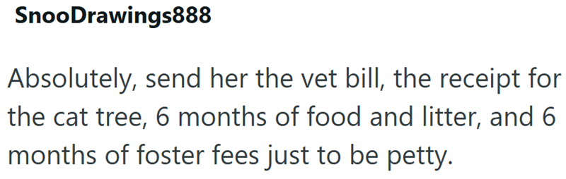 SnooDrawings888 Absolutely, send her the vet bill, the receipt for the cat tree, 6 months of food and litter, and 6 months of foster fees just to be petty.