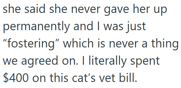 she said she never gave her up permanently and I was just "fostering" which is never a thing we agreed on. I literally spent $400 on this cat's vet bill.