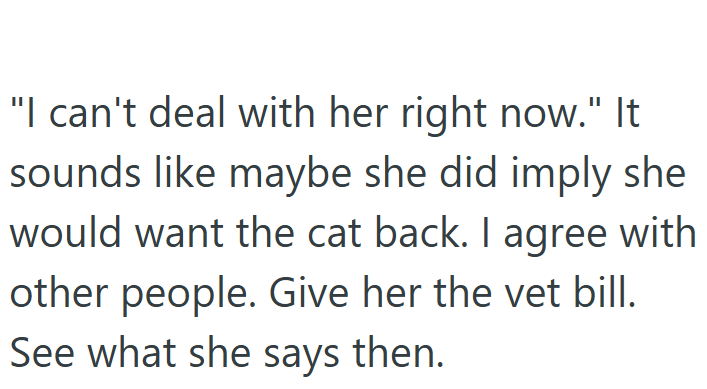 "I can't deal with her right now." It sounds like maybe she did imply she would want the cat back. I agree with other people. Give her the vet bill. See what she says then.