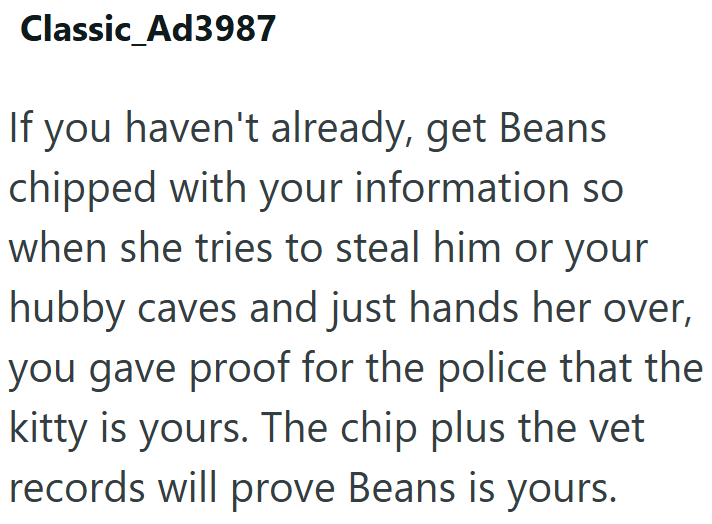 Classic Ad3987 If you haven't already, get Beans chipped with your information so when she tries to steal him or your hubby caves and just hands her over, you gave proof for the police that the kitty is yours. The chip plus the vet records will prove Beans is yours.