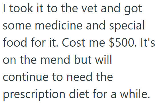 I took it to the vet and got some medicine and special food for it. Cost me $500. It's on the mend but will continue to need the prescription diet for a while.
