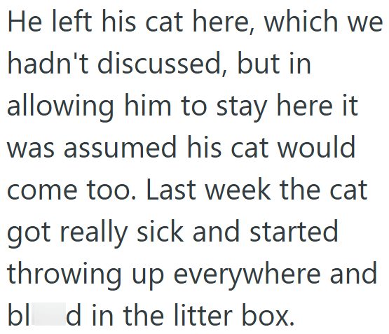 He left his cat here, which we hadn't discussed, but in allowing him to stay here it was assumed his cat would come too. Last week the cat got really sick and started throwing up everywhere and bled in the litter box.