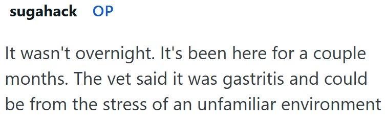 sugahack OP It wasn't overnight. It's been here for a couple months. The vet said it was gastritis and could be from the stress of an unfamiliar environment
