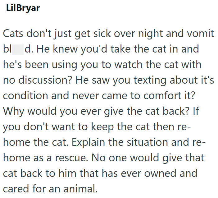 LilBryar Cats don't just get sick over night and vomit bl d. He knew you'd take the cat in and he's been using you to watch the cat with no discussion? He saw you texting about it's condition and never came to comfort it? Why would you ever give the cat back? If you don't want to keep the cat then re- home the cat. Explain the situation and re- home as a rescue. No one would give that cat back to him that has ever owned and cared for an animal.