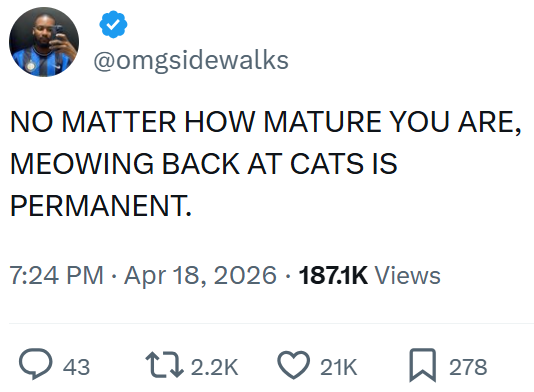 @omgsidewalks NO MATTER HOW MATURE YOU ARE, MEOWING BACK AT CATS IS PERMANENT. 7:24 PM Apr 18, 2026 187.1K Views > 43 12.2K 21K 278