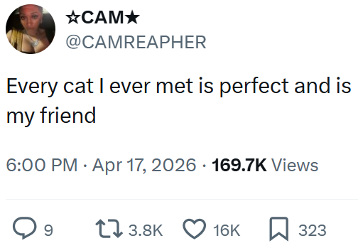 ⭑CAM⭑ @CAMREAPHER Every cat I ever met is perfect and is my friend 6:00 PM Apr 17, 2026 169.7K Views 9 13.8K 16K ☐ 323