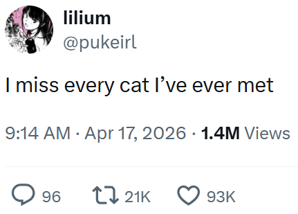 lilium @pukeirl I miss every cat I've ever met 9:14 AM Apr 17, 2026 1.4M Views 96 21K 93K