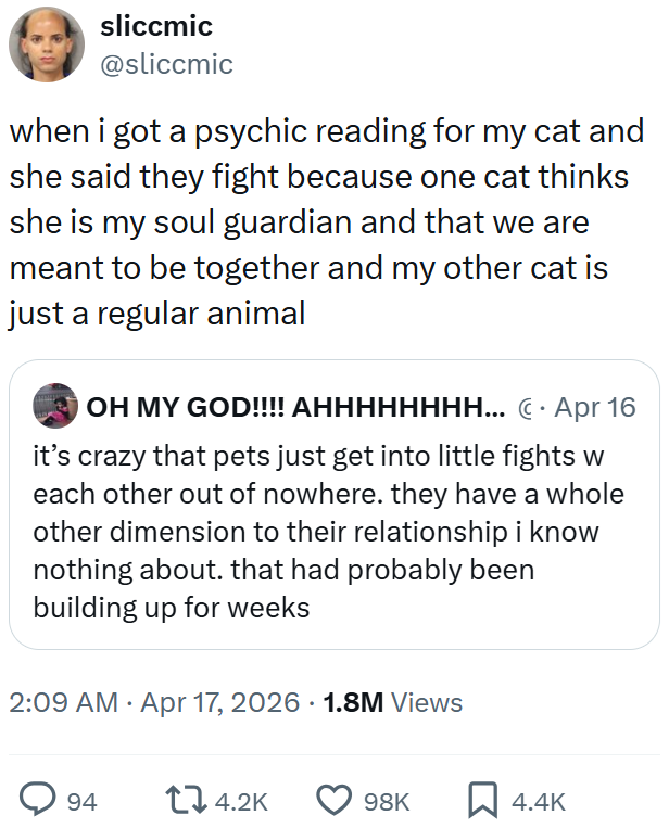 sliccmic @sliccmic when i got a psychic reading for my cat and she said they fight because one cat thinks she is my soul guardian and that we are meant to be together and my other cat is just a regular animal OH MY GOD!!!! AHHHHHHHH... • Apr 16 it's crazy that pets just get into little fights w each other out of nowhere. they have a whole other dimension to their relationship i know nothing about. that had probably been building up for weeks 2:09 AM Apr 17, 2026 1.8M Views 94 14.2K 98K ☐ 4.4K