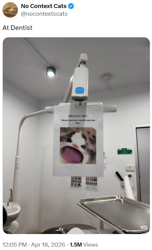 No Context Cats @nocontextscats At Dentist 请像这样张大嘴巴: Please open your mouth wide like this: 12:05 PM • Apr 18, 2026 1.5M Views 15