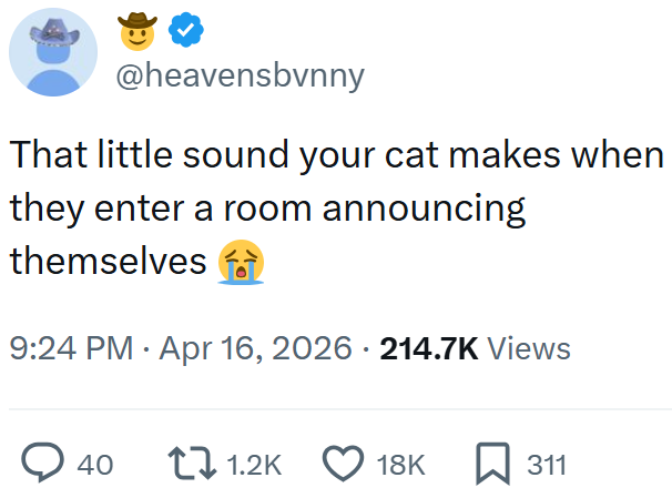 @heavensbvnny That little sound your cat makes when they enter a room announcing themselves 9:24 PM Apr 16, 2026 - 214.7K Views 40 1.2K 18K 311