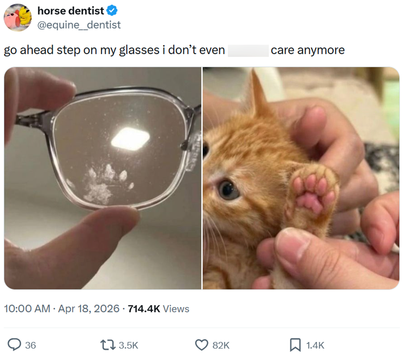 horse dentist @equine_dentist go ahead step on my glasses i don't even . 10:00 AM - Apr 18, 2026 - 714.4K Views 36 13.5K care anymore 82K ☐ 1.4K