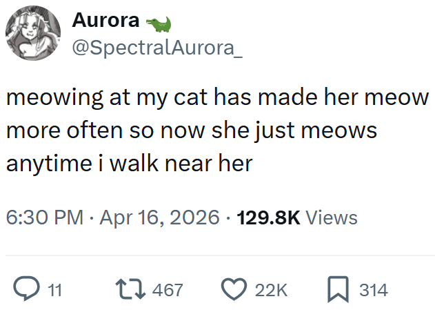 Aurora @SpectralAurora_ meowing at my cat has made her meow more often so now she just meows anytime i walk near her 6:30 PM Apr 16, 2026 129.8K Views ◇ 11 17467 22K ☐ 314