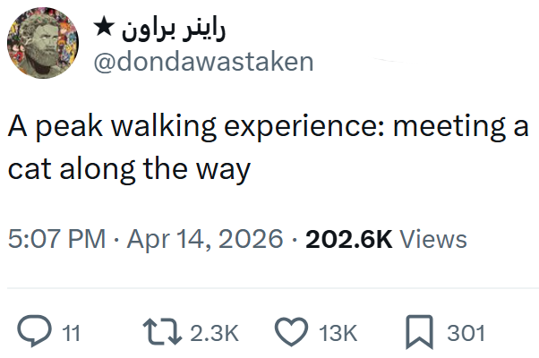 راینر براون * @dondawastaken A peak walking experience: meeting a cat along the way 5:07 PM Apr 14, 2026 202.6K Views ◇ 11 12.3K 13K ☐ 301
