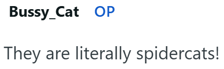 Bussy_Cat OP They are literally spidercats!