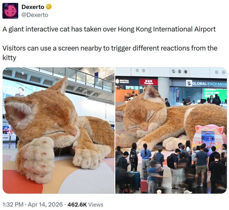 Dexerto @Dexerto A giant interactive cat has taken over Hong Kong International Airport Visitors can use a screen nearby to trigger different reactions from the kitty ange • 1:32 PM Apr 14, 2026 462.6K Views • 900 NUTTEA 記者室 From Room GLOBAL EXCHANGE 前往天壇大佛的