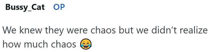 Bussy_Cat OP We knew they were chaos but we didn't realize how much chaos