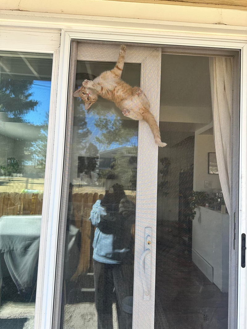 Cheezburger Image 10625529600