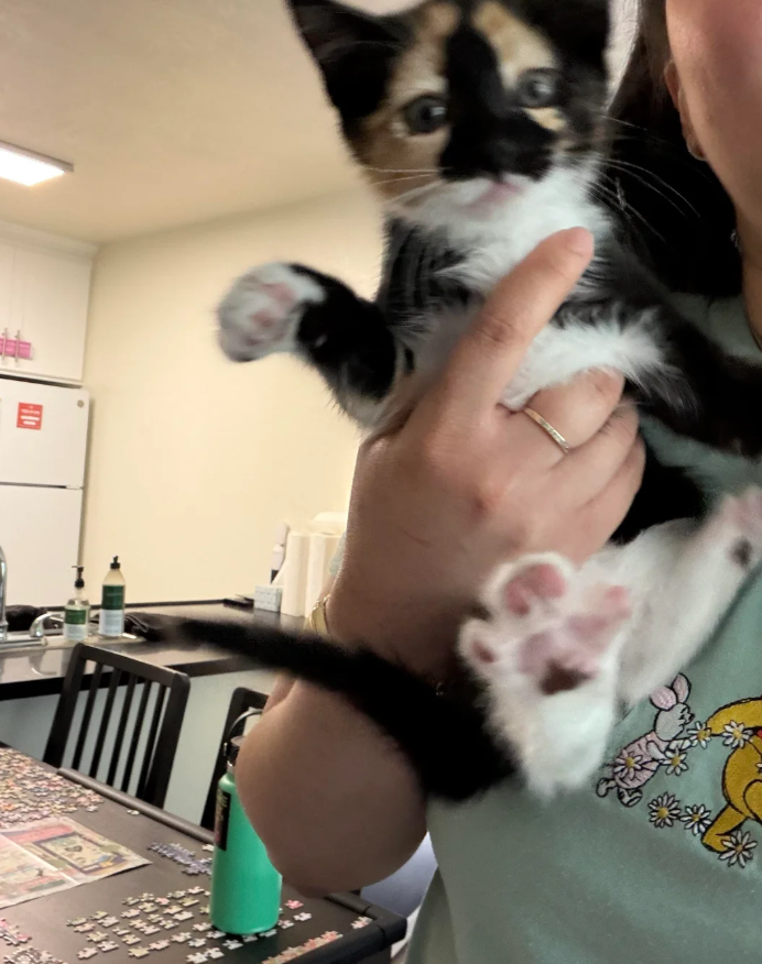 Cheezburger Image 10625531392