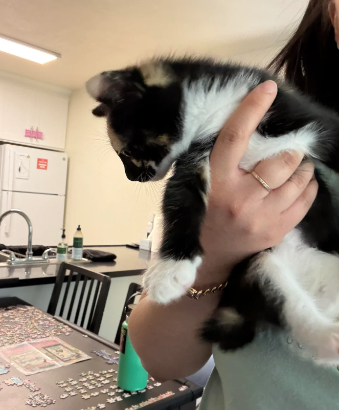 Cheezburger Image 10625531904