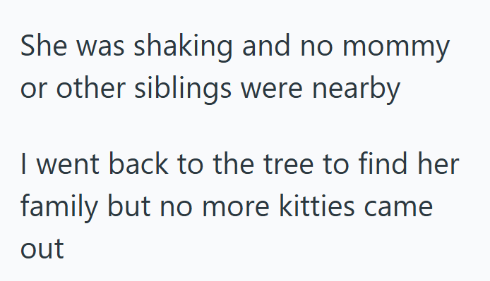 She was shaking and no mommy or other siblings were nearby I went back to the tree to find her family but no more kitties came out