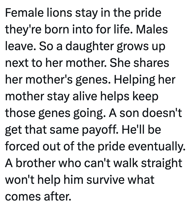 Female lions stay in the pride they're born into for life. Males leave. So a daughter grows up next to her mother. She shares her mother's genes. Helping her mother stay alive helps keep those genes going. A son doesn't get that same payoff. He'll be forced out of the pride eventually. A brother who can't walk straight won't help him survive what comes after.