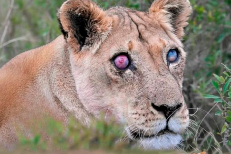 Cheezburger Image 10625537280