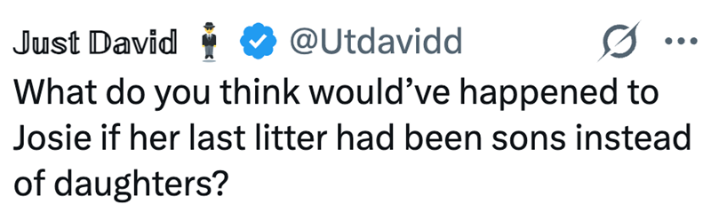 Just David * @Utdavidd What do you think would've happened to Josie if her last litter had been sons instead of daughters?