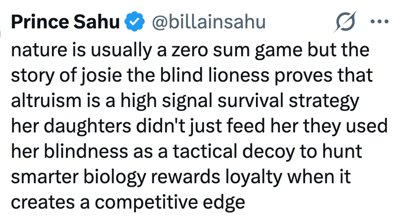 Prince Sahu @billainsahu nature is usually a zero sum game but the story of josie the blind lioness proves that altruism is a high signal survival strategy her daughters didn't just feed her they used her blindness as a tactical decoy to hunt smarter biology rewards loyalty when it creates a competitive edge