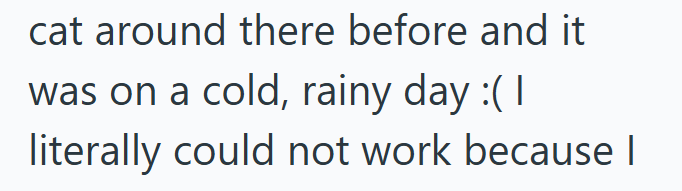 cat around there before and it was on a cold, rainy day :( I literally could not work because I