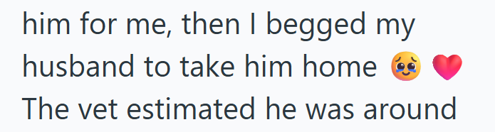 him for me, then I begged my husband to take him home The vet estimated he was around