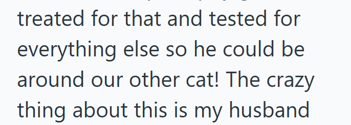 treated for that and tested for everything else so he could be around our other cat! The crazy thing about this is my husband