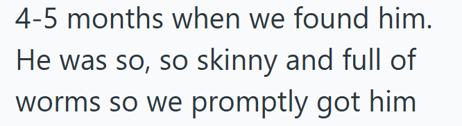 4-5 months when we found him. He was so, so skinny and full of worms so we promptly got him