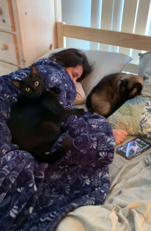 Cheezburger Image 10625541632