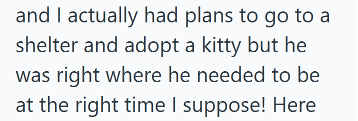 and I actually had plans to go to a shelter and adopt a kitty but he was right where he needed to be at the right time I suppose! Here