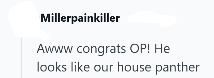 Millerpainkiller Awww congrats OP! He looks like our house panther