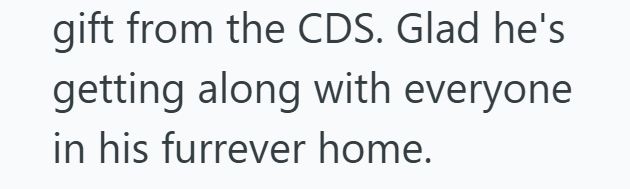 gift from the CDS. Glad he's getting along with everyone in his furrever home.