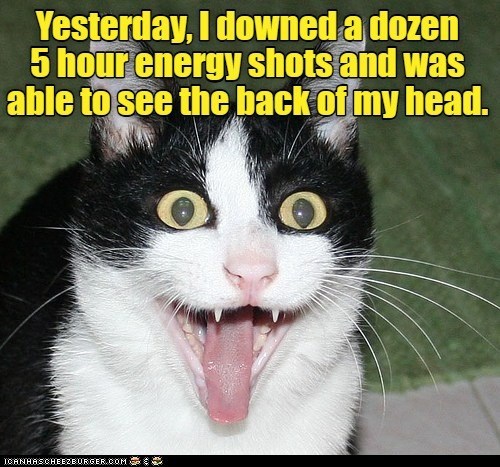 Cheezburger Image 10625551616