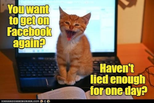 Cheezburger Image 10625552128