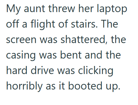 My aunt threw her laptop off a flight of stairs. The screen was shattered, the casing was bent and the hard drive was clicking horribly as it booted up.