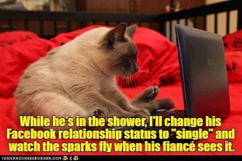 Cheezburger Image 10625558272