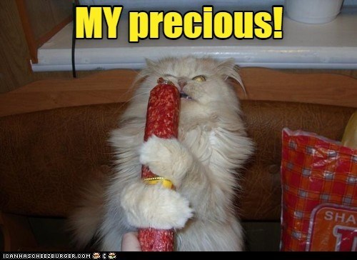 Cheezburger Image 10625558528