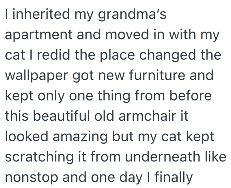 I inherited my grandma's apartment and moved in with my cat I redid the place changed the wallpaper got new furniture and kept only one thing from before this beautiful old armchair it looked amazing but my cat kept scratching it from underneath like nonstop and one day I finally