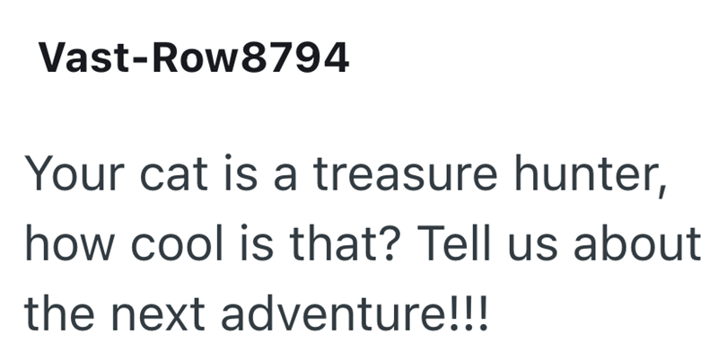 Vast-Row8794 Your cat is a treasure hunter, how cool is that? Tell us about the next adventure!!!