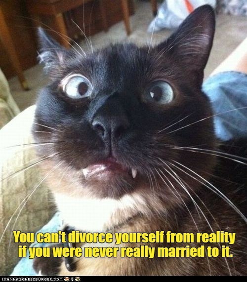 Cheezburger Image 10625563904