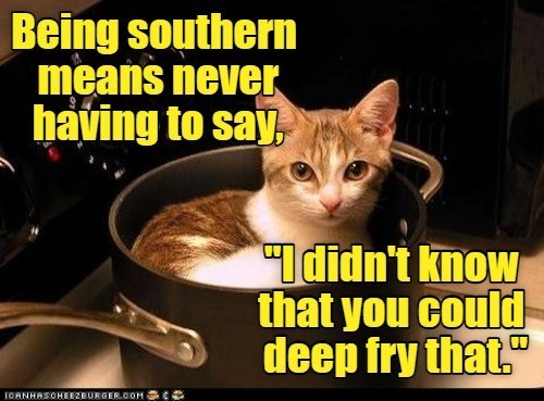 Cheezburger Image 10625564160