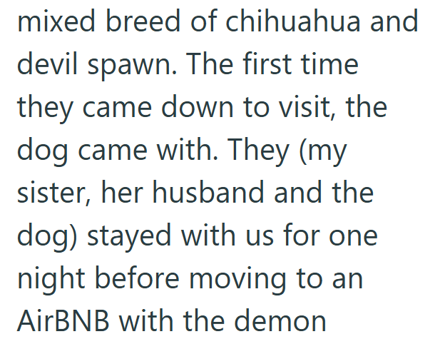 mixed breed of chihuahua and devil spawn. The first time they came down to visit, the dog came with. They (my sister, her husband and the dog) stayed with us for one night before moving to an AirBNB with the demon