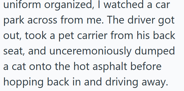 uniform organized, I watched a car park across from me. The driver got out, took a pet carrier from his back seat, and unceremoniously dumped a cat onto the hot asphalt before hopping back in and driving away.