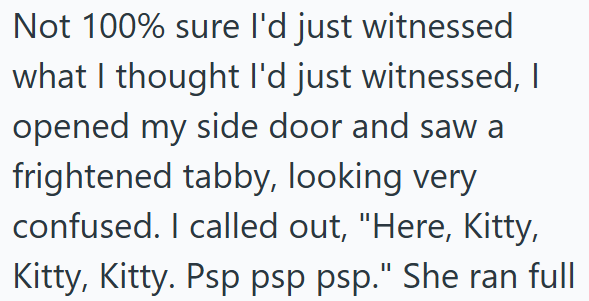 Not 100% sure I'd just witnessed what I thought I'd just witnessed, I opened my side door and saw a frightened tabby, looking very confused. I called out, "Here, Kitty, Kitty, Kitty. Psp psp psp." She ran full