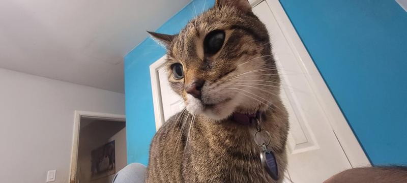 Cheezburger Image 10625576192